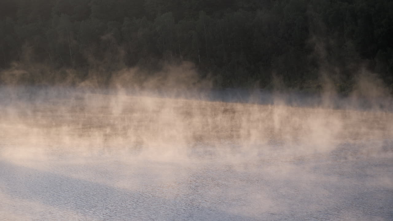 High quality video showing a concrete tower rising from the calm misty lake of the Wehebachtalsperre at sunrise with soft light, drifting fog and a quiet forest backdrop