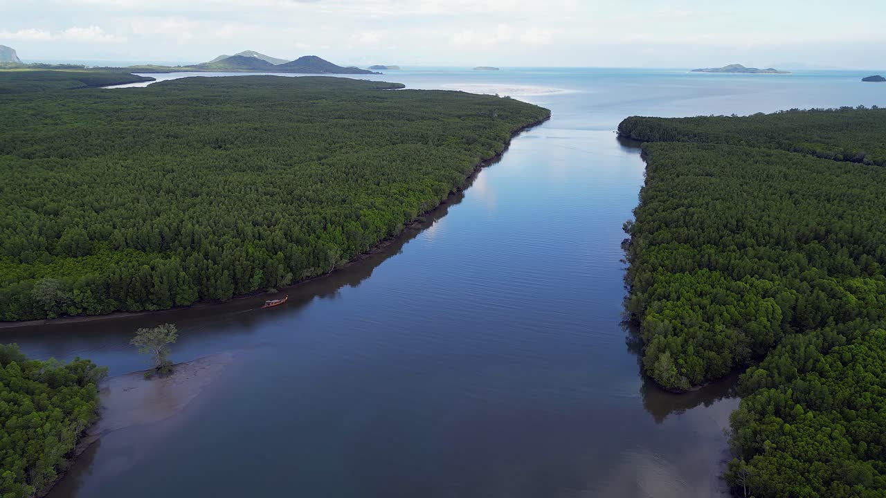 Aerial descends to lone long-tail boat in Thailand mangrove river