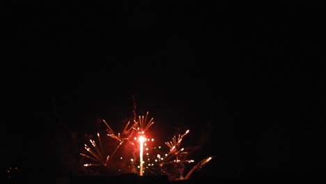 fireworks in the dark knight in different shapes and colors celebrating new year.