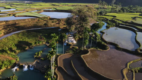 terraced rice field and weekacura waterfalls in west sumba, east nusa tenggara, indonesia