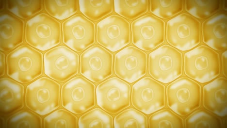 células de la piel humana. cada célula con membrana. terapia celular. tratamiento de enfermedades. núcleo y vacuola. regeneración. animación de bucle.