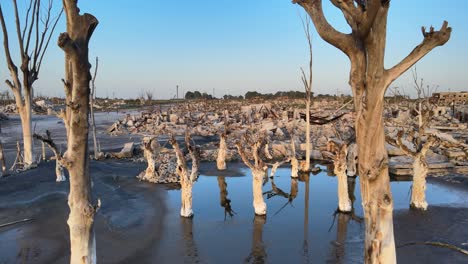 deserted place once thriving tourists hotspot that went underwater for years, now uninhabitable, silent and lonely with buildings rubbles and dead trees covered in salt at villa epecuén