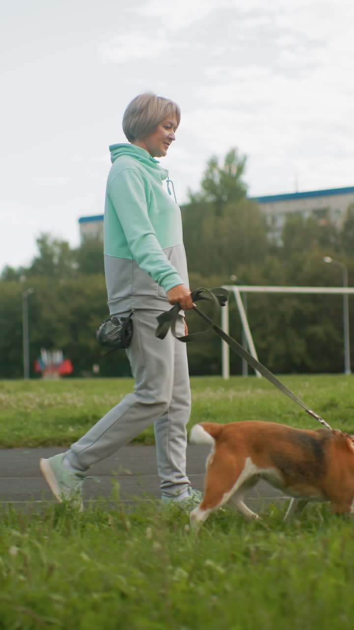 백인 은퇴자가 잔디밭에서 비글을 산책시키고 있어요. 회색 후드티와 운동복 바지를 입고 손에는 가죽끈을 쥐고 있으며, 개는 축구 골대 근처 땅 냄새를 맡고 있어요. 차분하고 흐린 아침, 느리고 꾸준한 속도로 동네 길과 푸른 들판을 걷고 있습니다.