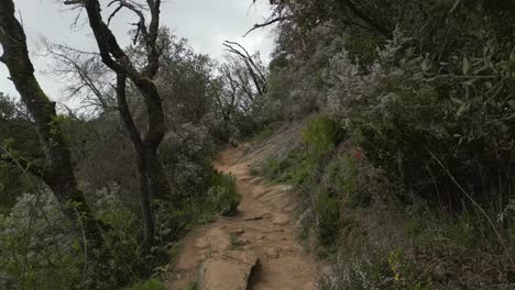 Picturesque mountain hiking path in catalonia, spain, winds through a diverse landscape of trees and shrubs, offering scenic views and a tranquil atmosphere