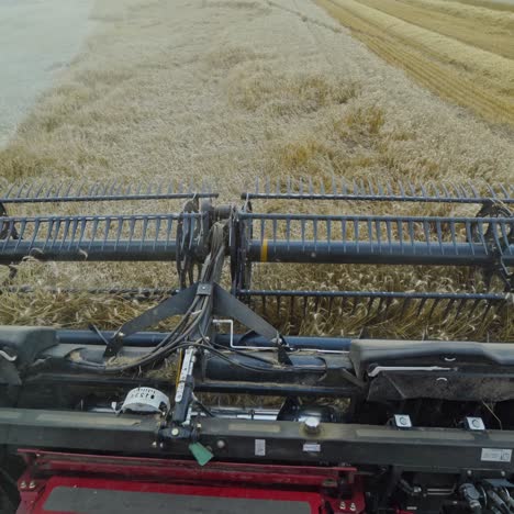agricultural equipment for gathering crop. metal part of combine harvester cutting ripe wheat on the field. close-up. view from combine.