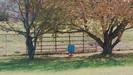 child's swing hanging on tree in autumn