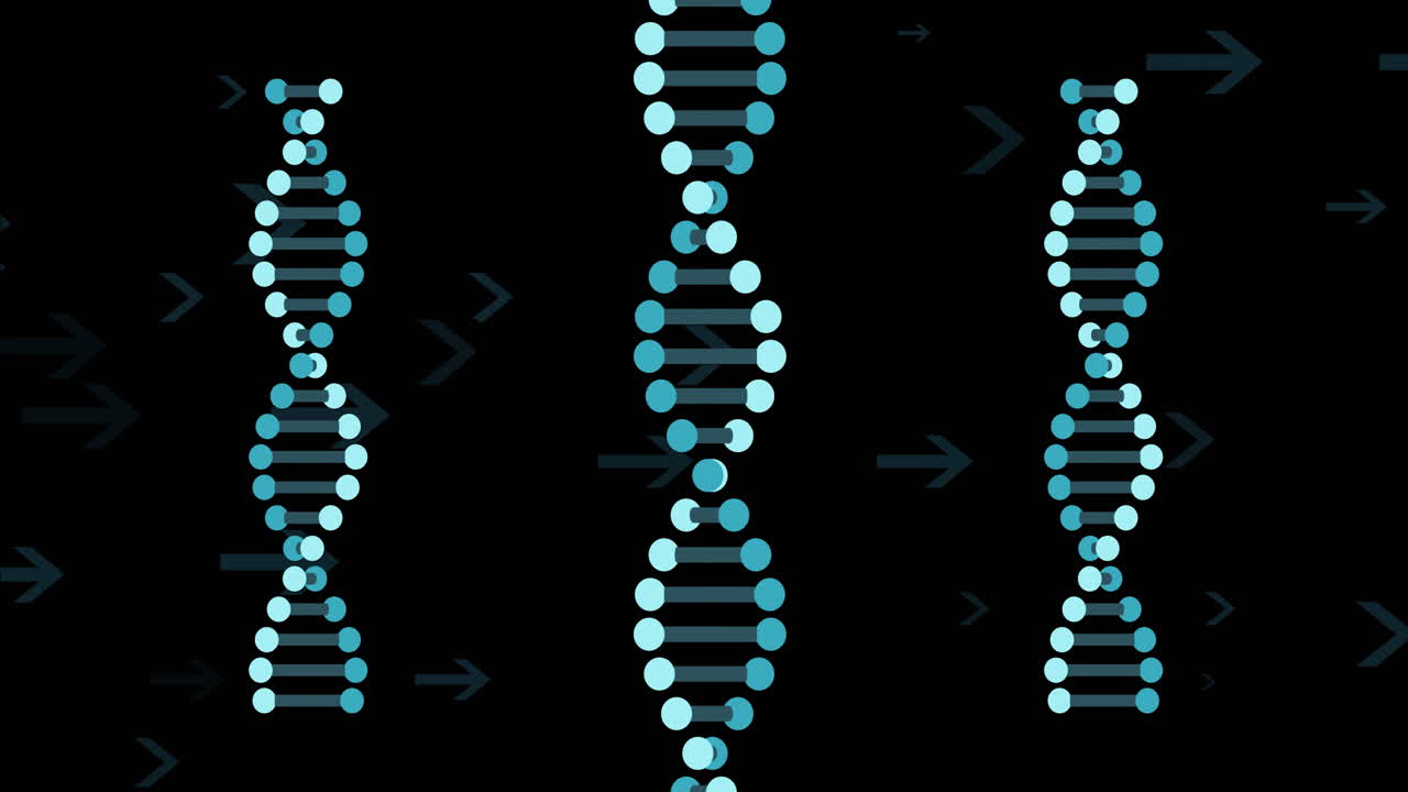 DNA strands and arrows, genetic data animation over black background
