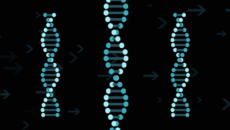 dna strands and arrows, genetic data animation over black background