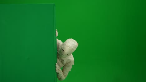 green screen isolated chroma key video capturing a mummy dancing and singing actively into the