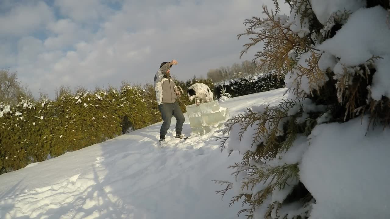 perro manchado jugando con el dueño en la nieve-1
