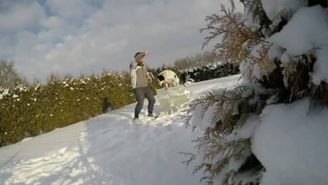 Spotted-dog-playing-with-the-owner-on-the-snow-1