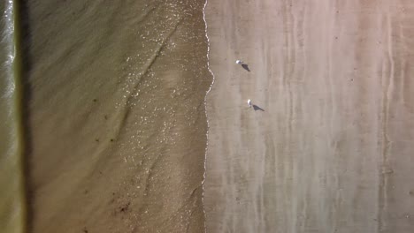 gently waves crashing on utah beach, normandy, france