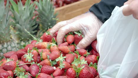 buying strawberries at a market