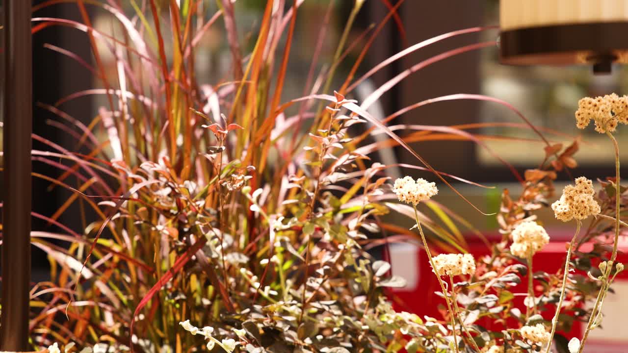 은 자동차 배경으로 덤불의 클로즈업