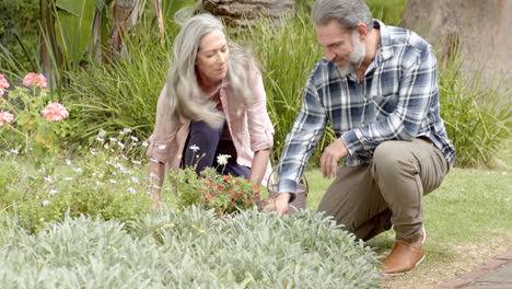 mature couple gardening together, enjoying nature and tending to flowers outdoors