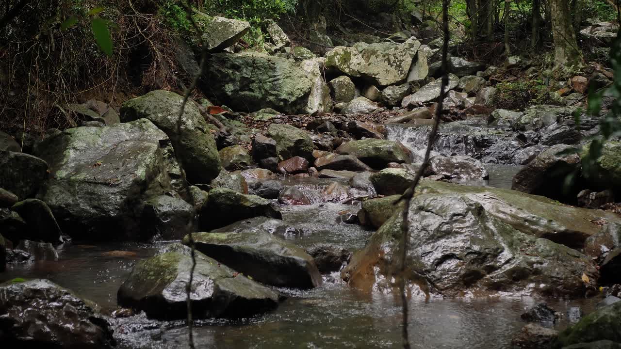 Vandløb i Natural Bridge, Springbrook National Park, Gold Coast Hinterland, Australien.