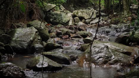 自然橋的溪流, 斯普林布魯克國家公園, 黃金海岸內陸, 澳洲