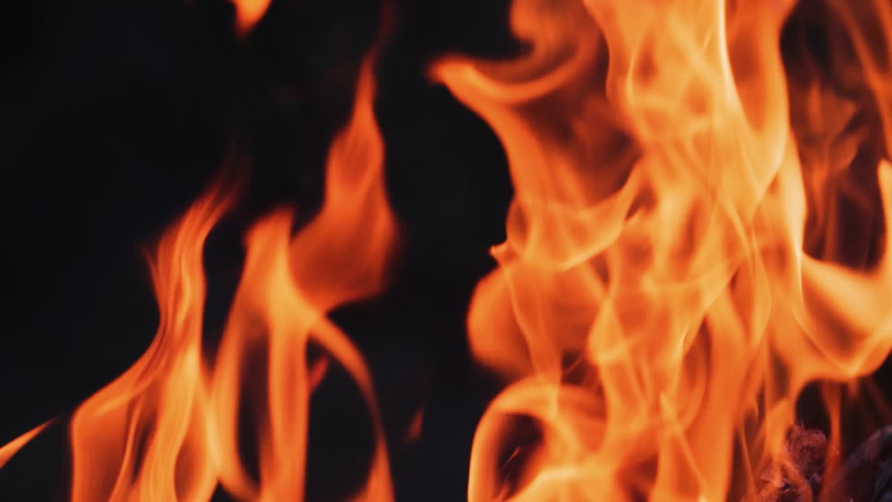 Burning fire. Bonfire. Closeup of flames burning on black background, slow motion