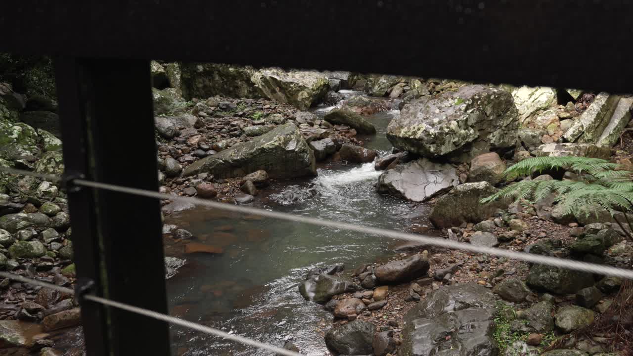 Serene River flowing through rocks and forest