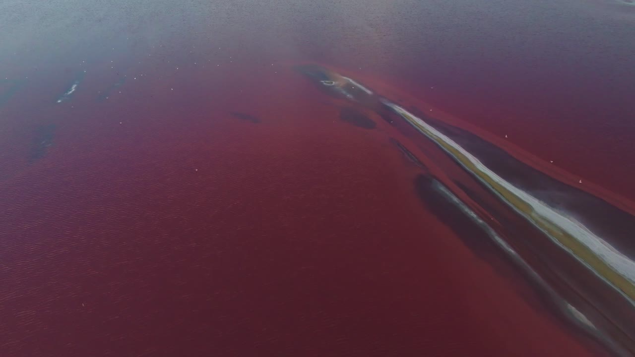 프랑스 남부의 aigues-mortes 소금 습지