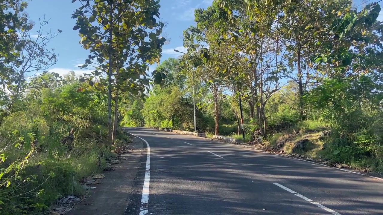 Strada tortuosa panoramica attraverso una lussureggiante foresta verde sotto un cielo azzurro