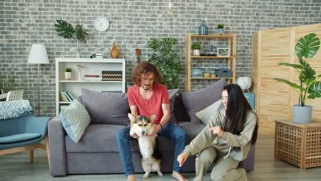 couple playing with their dog at home