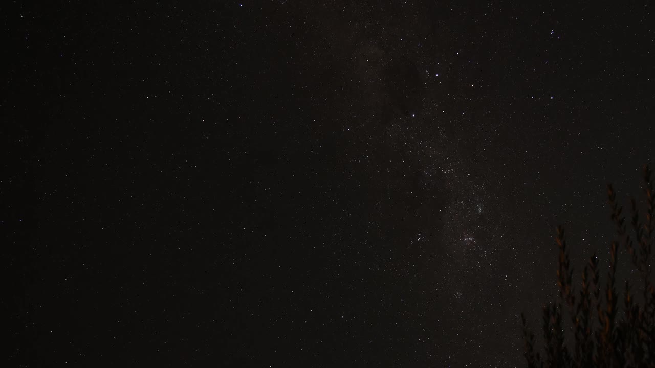 어두운 밤 하늘 아래의 별과 나무