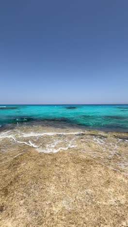 una vista de un mar, tiro de cerca