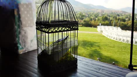 jaula de pájaros vintage como tarjetero con regalos de boda