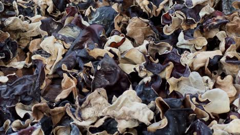 fresh wild mushrooms drying process, close up motion view