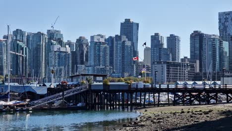 a long shot of the canadian flag flying in the city park during the daytime with the skyscrapers in the background, vancouver, british columbia, canada