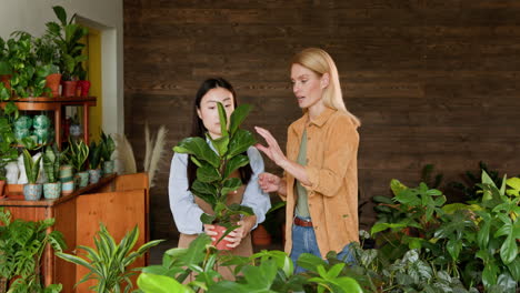 plant shop interaction