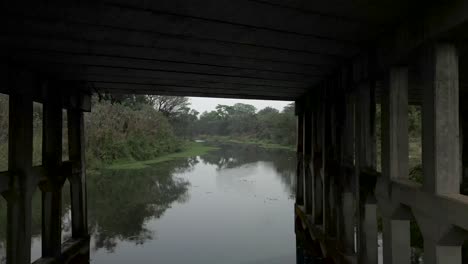 serene river landscape with lush greenery