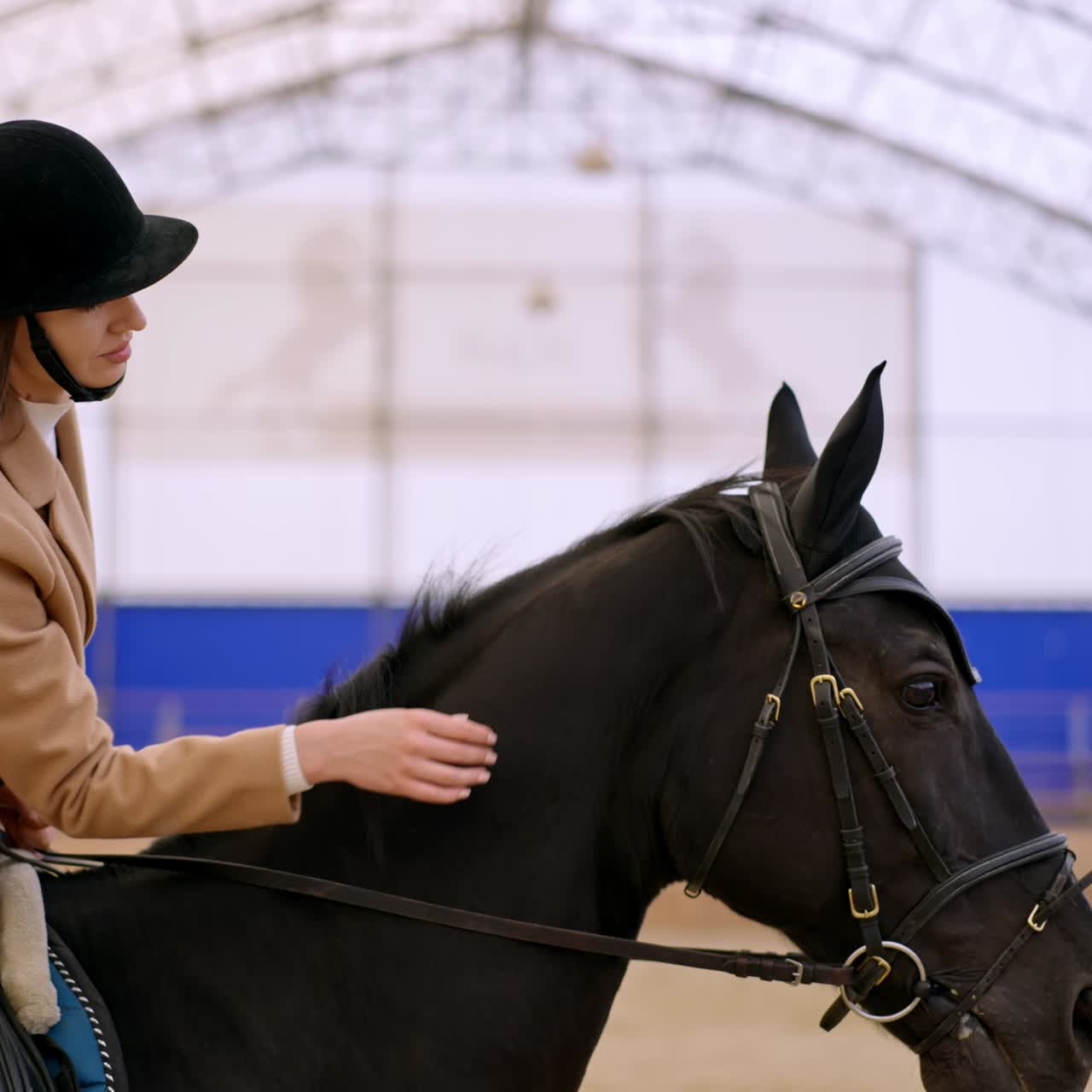 Female jockey in black helmet and beige jacket riding a beautiful black horse. Woman calms down the animal caressing it. Blurred backdrop
