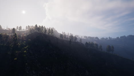 Majestuoso-Bosque-De-Montaña-Verde-Sobre-Fondo-De-Niebla