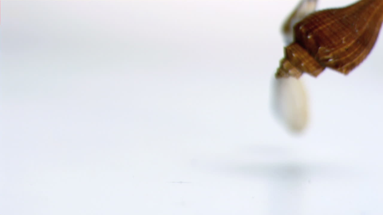 Shells falling in super slow motion