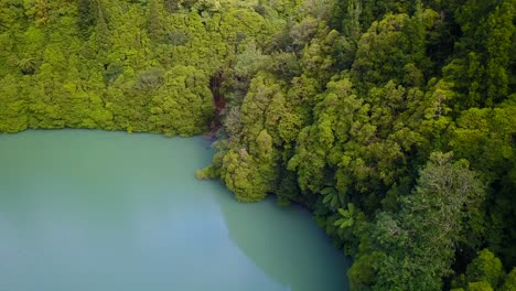 drone volando sobre tranquilas aguas azul turquesa de un lago rodeado de selva verde tropical