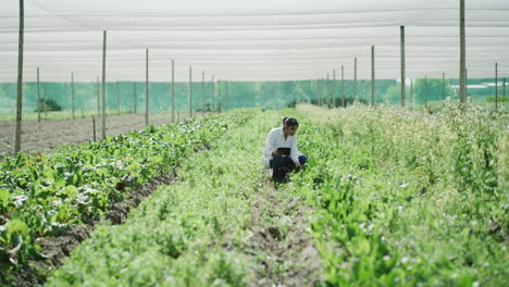 a young female farmer inspecting crops inside