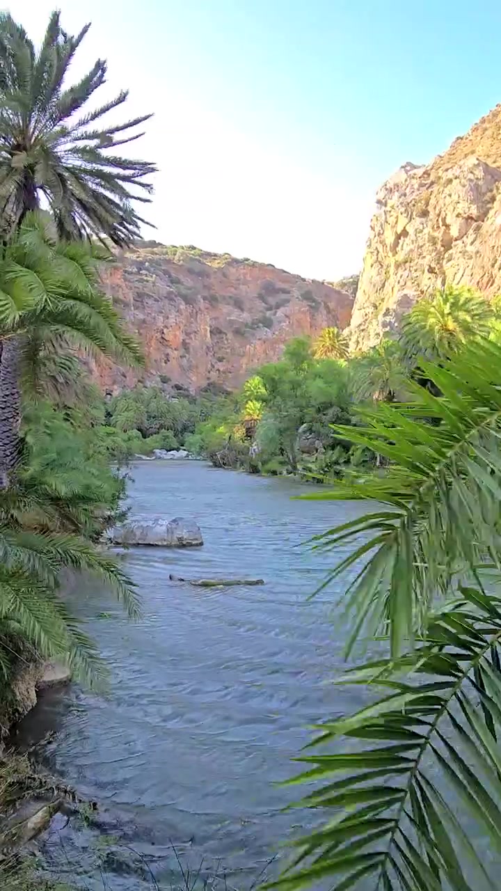 Palmeparken i Preveli på Kreta, Hellas, med frodige grønne palmer, en frisk elv som renner ut i havet, eksotisk strandlandskap og unik middelhavsnatur som skaper naturskjønne reiseopptak