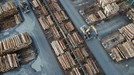 efficiency in action: an aerial view of a log travelling on the conveyor belt at a german sawmill while log loader driving alongside of it