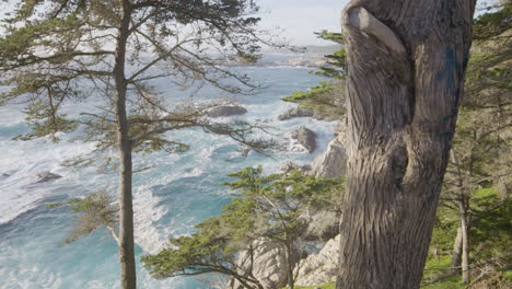 slow motion shot through trees on the mountainside in big sur california with calming waves rolling through the pacific ocean