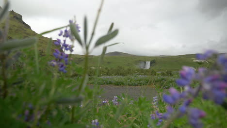 Hombre-De-Pie-En-La-Vista-De-La-Cámara-En-Islandia