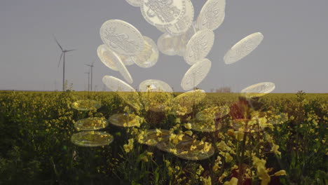 falling coins animation over wind turbines and yellow flower field