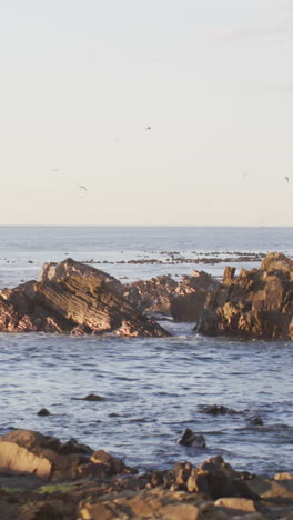 seagulls fly over a serene coastal landscape at sunset