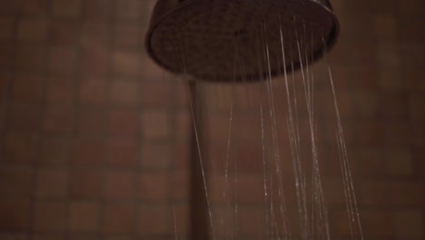 shower with water in bathroom with rustic wall