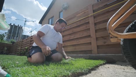 jardinero colocando un rollo de césped natural