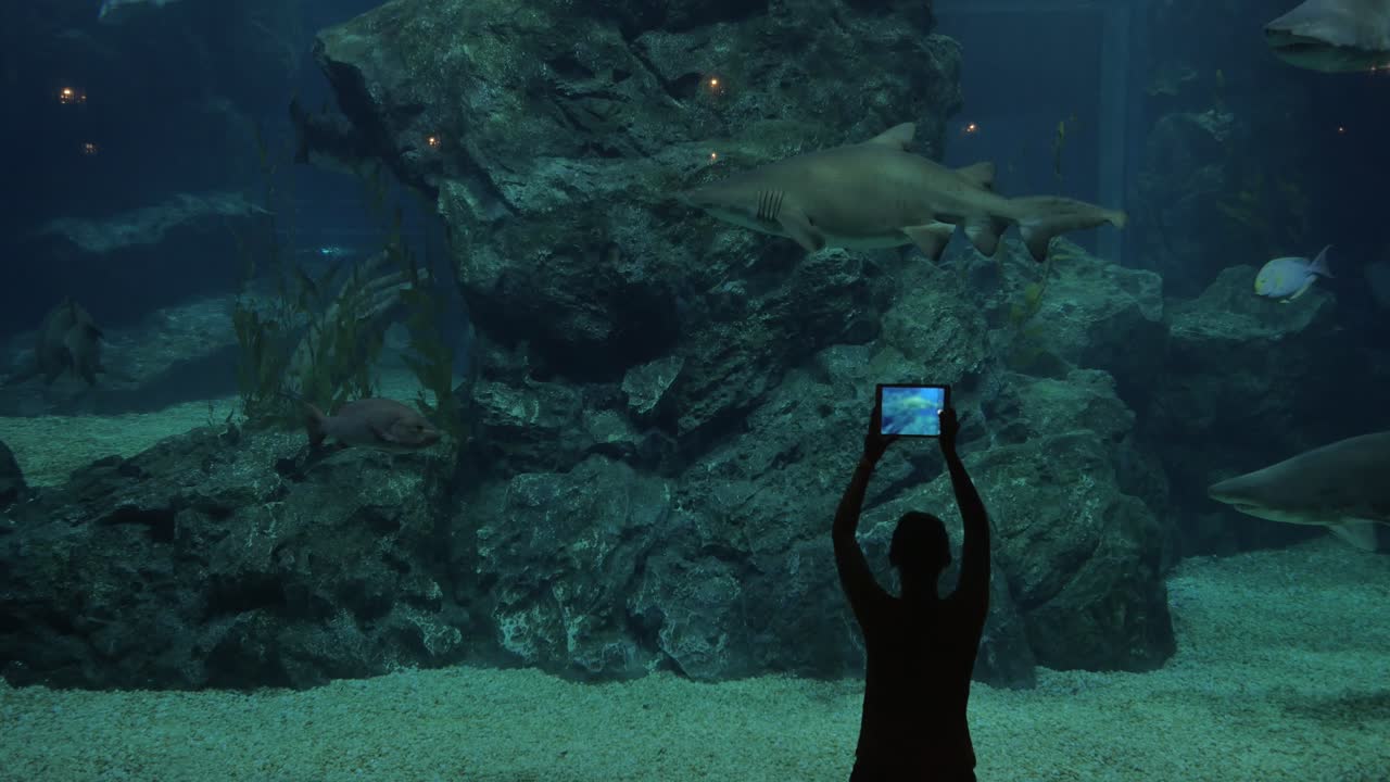 Kobieta w oceanarium z rekinami.
