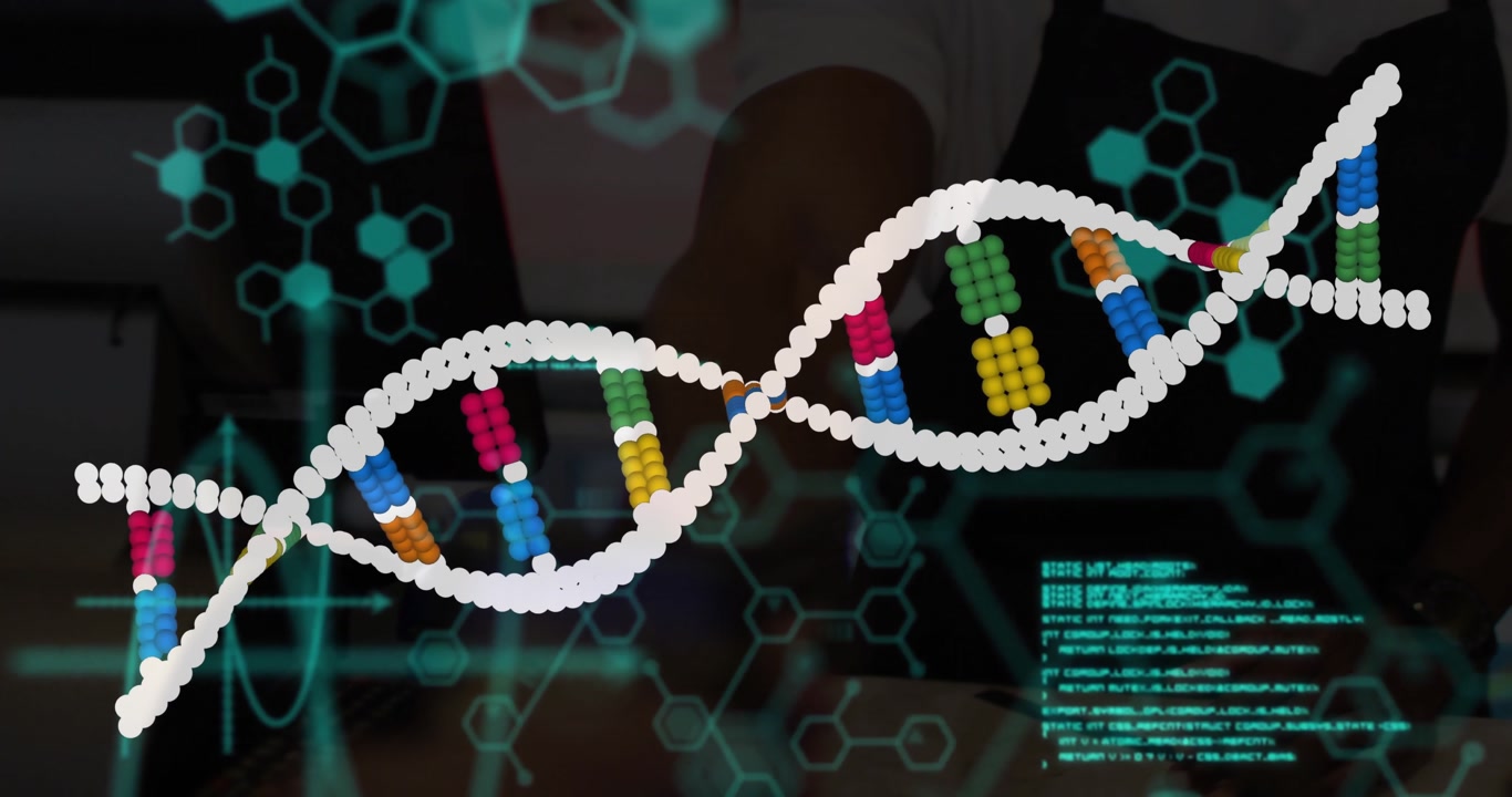 Researcher tapping laptop keys launching DNA helix animation with scrolling code for lab research