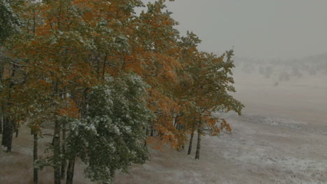 Colorful-Aspen-Trees-Open-Space-Evergreen-Colorado-first-snow-grassy-field-red-brown-horse-barn-aerial-drone-fall-autumn-winter-blizzard-snowy-Rocky-Mountain-front-range-Denver-right-slide-reveal