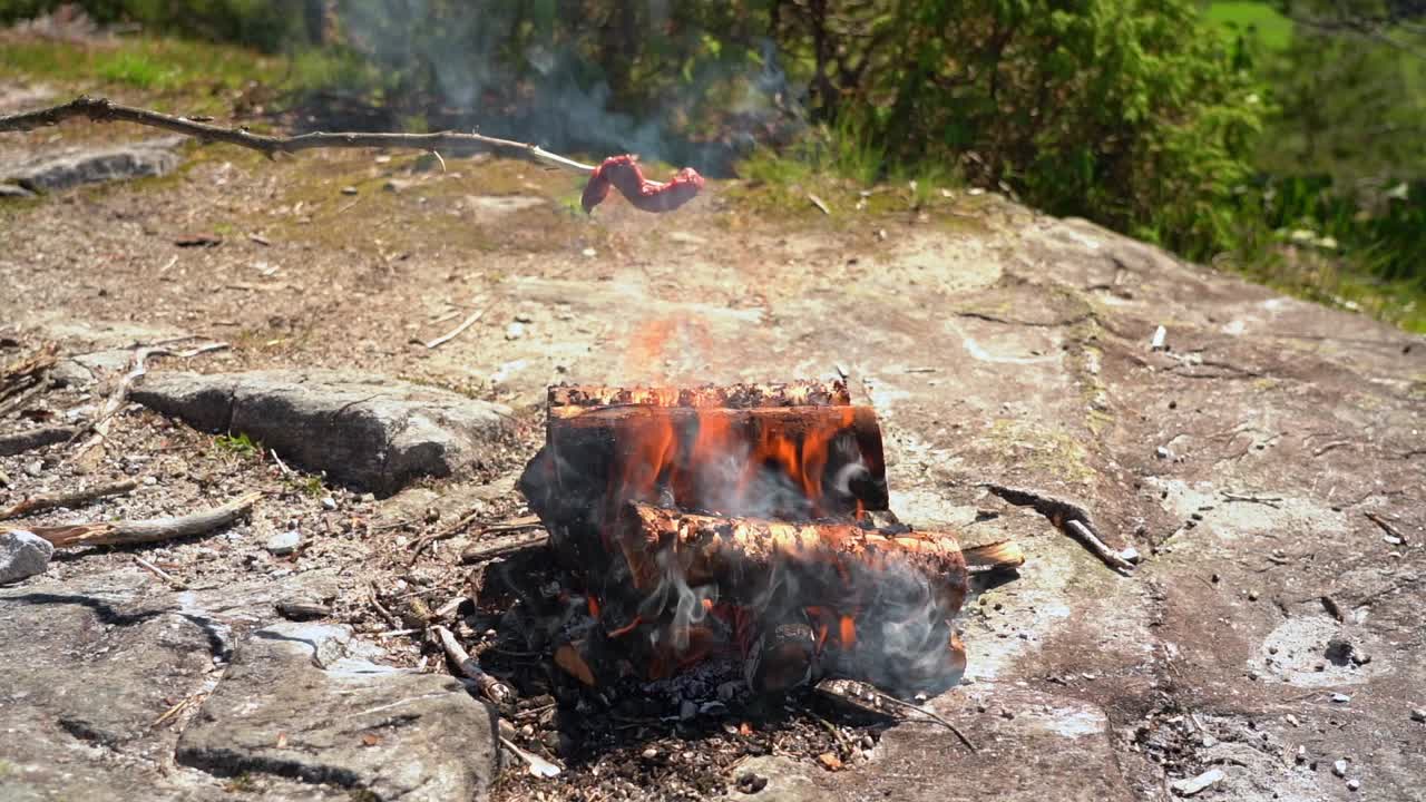 carne de ciervo salvaje a la parrilla en un palo encima de las llamas abiertas de la hoguera en la naturaleza - cámara lenta